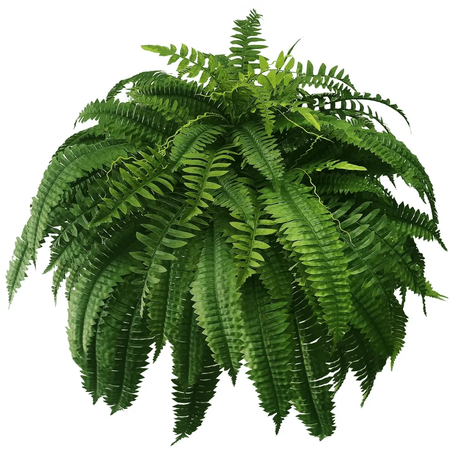 Last Day 49% OFF--UV Resistant Lifelike Artificial Boston Fern