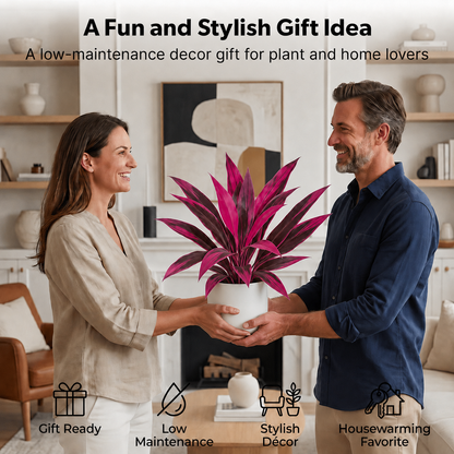 🎁  Last Day 49% OFF - Artificial Boston Fern & Dragon's Blood Tree Plants