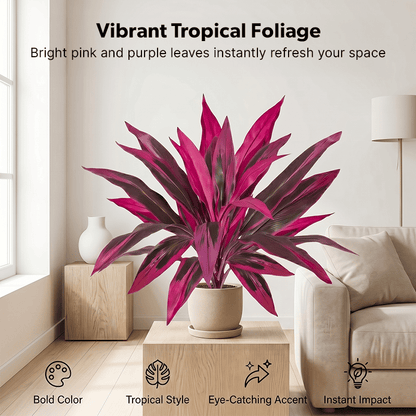 🎁  Last Day 49% OFF - Artificial Boston Fern & Dragon's Blood Tree Plants