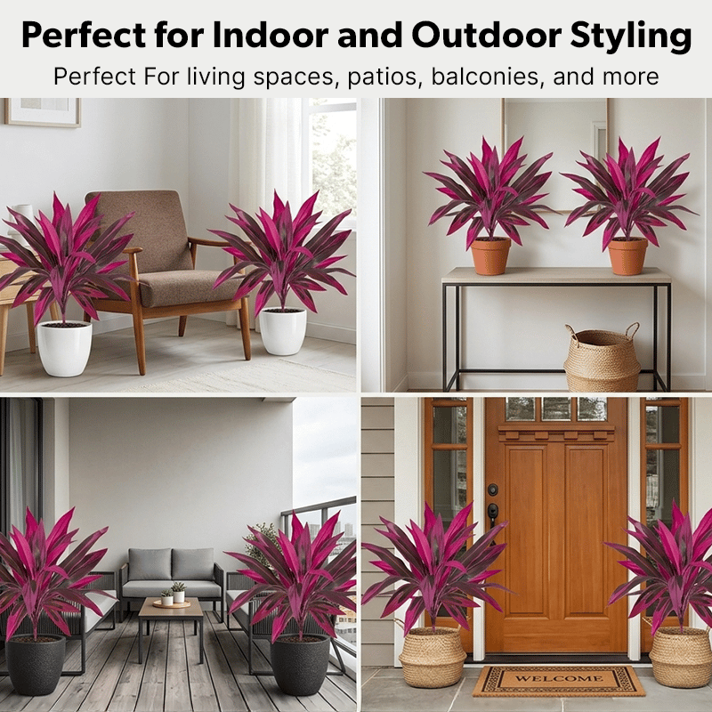 🎁  Last Day 49% OFF - Artificial Boston Fern & Dragon's Blood Tree Plants